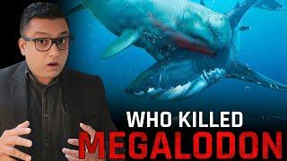 Why MEGALODON Got Extinct? Does the Megalodon Still Exist?