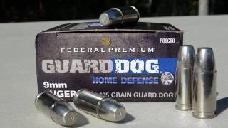Federal Guard Dog 9mm 105 gr EFMJ AMMO TEST