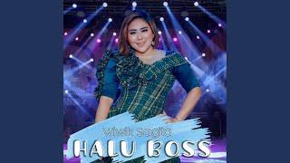 Halu Bos