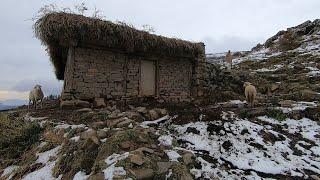 The life of bakarwal in the snow || sheep headers || village life bakarwal life