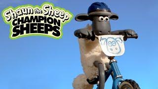 BMX | Championsheeps Games | Shaun the Sheep