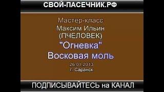 ▶ОГНЕВКА ПРИМЕНЕНИЕ - ОГНЕВКА ПЧЕЛИНАЯ - НАСТОЙКА ОГНЕВКИ - ВОСКОВАЯ ОГНЕВКА - МОЛЬ ОГНЕВКИ ОТЗЫВЫ