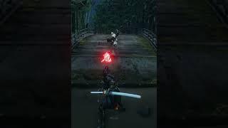 The Shinobi Hunter VS My Ashina Cross