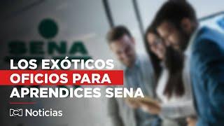 Nueva lista de empleos del SENA provoca indignación