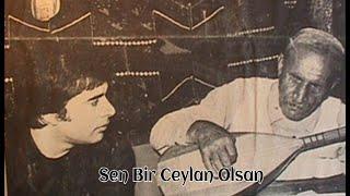 Fikret Kızılok - Sen Bir Ceylan Olsan