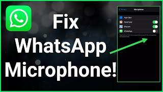 How To Fix WhatsApp Microphone Not Working