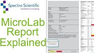 MicroLab Report Explained