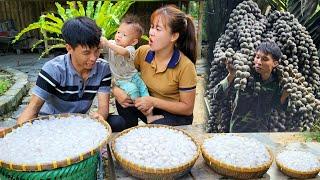 Exploiting Forest Fruits And Selling Them At The Market | Linh's Life