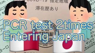 2 times PCR tests when entering Japan -Malta Vlog