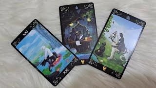 Pienso en la última vez que te hice el amor, estoy loco por tocar tu piel #love #viralvideo #tarot