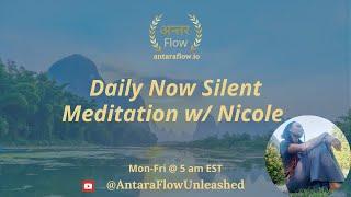 Daily Now Silent Meditation w/ Nicole (Day 160)