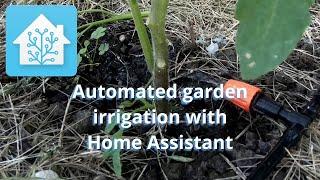 Automated garden irrigation with Home Assistant