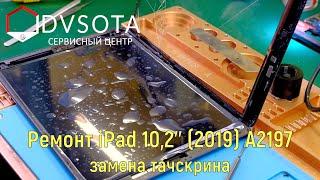 Ремонт iPad 10,2'' (2019) A2197 / подробный сложный ремонт по замене тачскрина