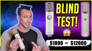 BLIND TEST: Circle Audio EVO 251 vs ELAM 251 - $1899 vs $12000 