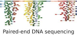 Paired-end sequencing