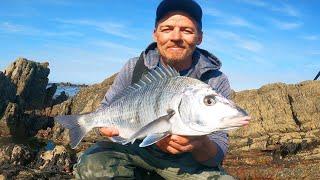 FISHING FOR WHITE STEENBRAS / HARVESTING AND COOKING BLACK MUSSELS / SOUTH AFRICA