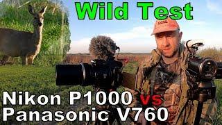 Nikon CoolPix P1000 vs Panasonic HC-V760. Wild Test. SuperZOOM