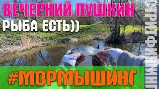 #29 Вечерняя плотва | Пушкин | #мормышинг