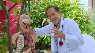 Dolor de cabeza - Doctor Rojas.