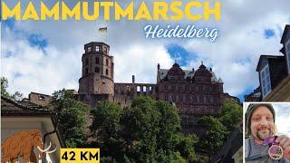 Mammutmarsch Heidelberg 42 km | Dossenheim, Heidelberg Altstadt, Königsstuhl & Odenwald