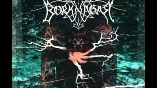 Borknagar - The Genuine Pulse