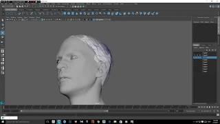 Ornatrix Maya: Male head and facial hair tutorial