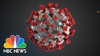 CDC Officials Give Update On COVID-19 | NBC News (Live Stream Recording)