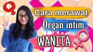 CARA MERAWAT ORGAN INTIM WANITA | Clarin Hayes