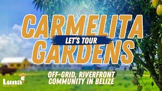 Year End Tour of Off-Grid, Self Sustainable Community - Carmelita Gardens Belize - December 2024