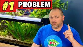 Number 1 Problem that Plagues the Aquarium Hobby....and HOW TO FIX IT!