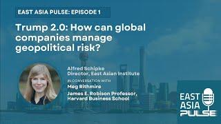 Trump 2.0: How can global companies manage geopolitical risk? With Harvard's Meg Rithmire