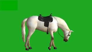 Green Screen Footage || Arabian Horse Canter 3D Animation || Green screen 4U