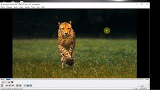 How to Extract  Images  From Any Video