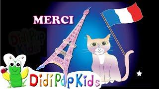 Merci, Oui Oui, S’il Vous Plaît (learn simple French) | Cricket Song by DidiPop Kids