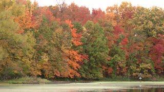 After slight delay, fall colors are out in full force