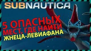 Subnautica 5 ОПАСНЫХ МЕСТ ГДЕ НАЙТИ ЖНЕЦА ЛЕВИАФАНА