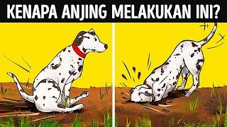 Arti Sesungguhnya di Balik 19 Perilaku Aneh Anjing