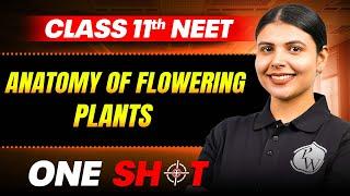 Anatomy Of Flowering Plant IN ONE SHOT || Full Concepts & PYQ || Botany Class 11th