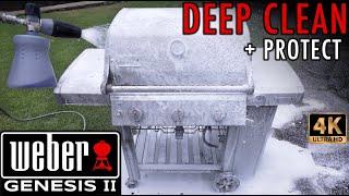 WEBER GENESIS II HOW TO CLEAN GAS GRILL FILTHY ANNUAL CLEAN