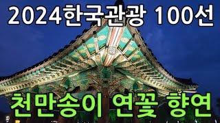 [부여여행]궁남지 야경(가자!보자!걷자!-4K)2024한국관광 100선