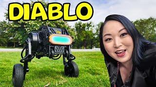 Self Balance robot Diablo Cymye