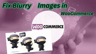 How To Fix Blurry Images in WooComerce WordPress