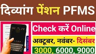 UP : How To Check अक्टूबर, नवंबर- दिसंबर 2025 Divyang Pension UP | UP Viklang Pension Kab Aayegi |