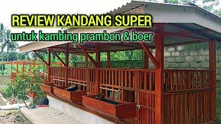 Kandang Kambing Rekomendasi