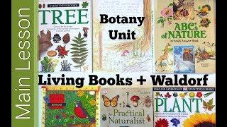 How to Use Living Books for a Waldorf Main Lesson Block