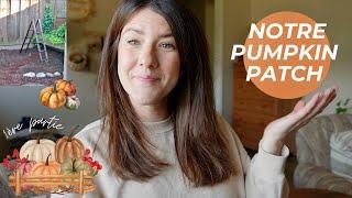 Notre pumpkin patch - Part 1