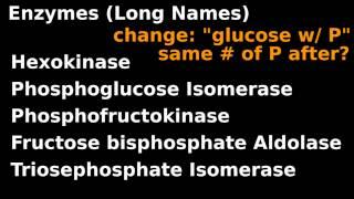 Glycolysis(3/5): Detailed Structures, Full Enzyme Names: Carbon chains and Sugar rings