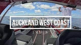 AUCKLAND WESTCOAST MARLIN FISHING #001