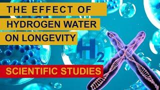 Hydrogen water scientific studies