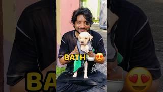 Puppy First Bath #shorts #vlog #minivlog #viral #puppy